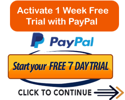 Make a Payment via PayPal